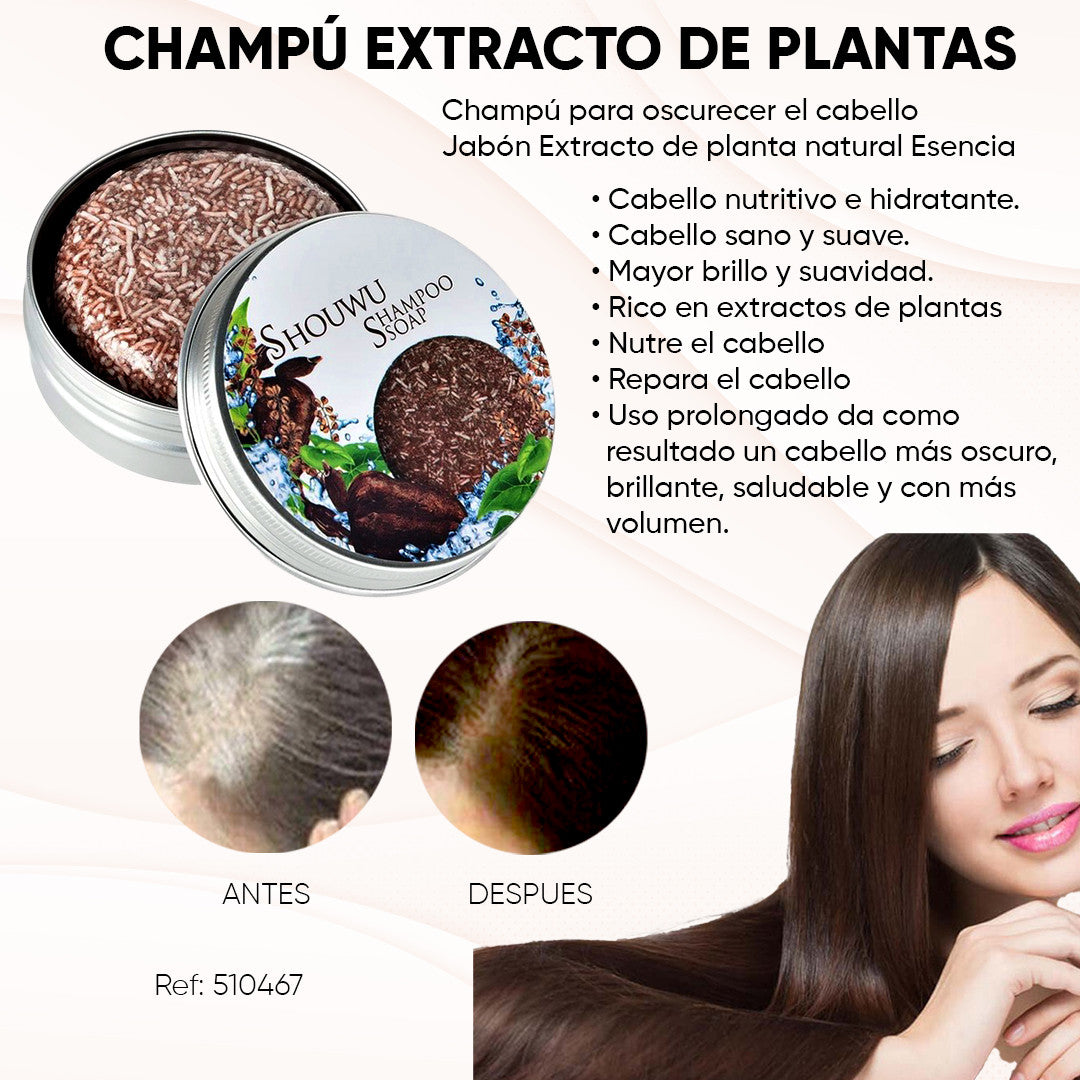 2 x 1 SHAMPOO EN BARRA ADIÓS CANAS